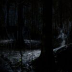 Uma floresta bastante escura iluminada por uma luz tênue que incide em uma clareira.